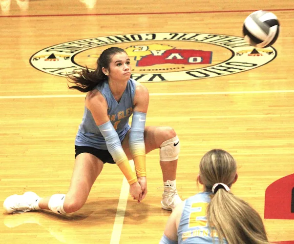 Potters, Bears, Indians fall in OVAC matches